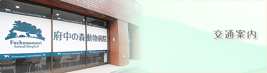 交通案内